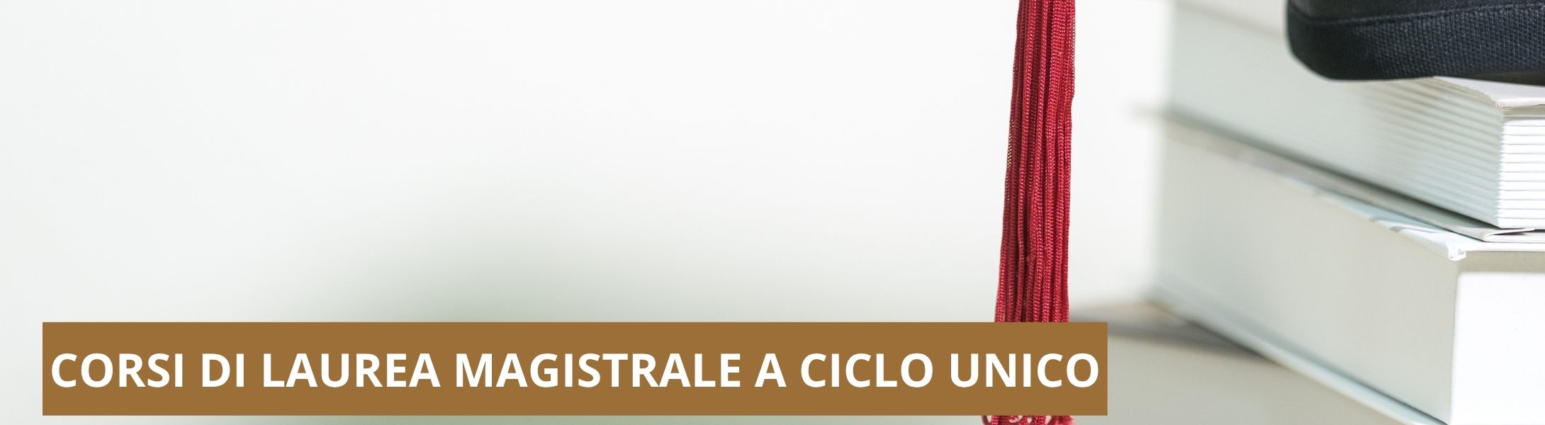 corsi di laurea magistrale a ciclo unico