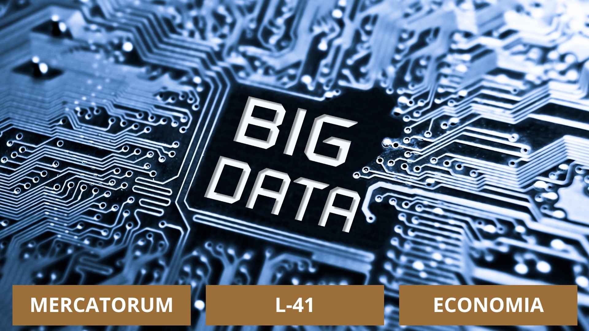 mercatorum l-41 statistica e big data