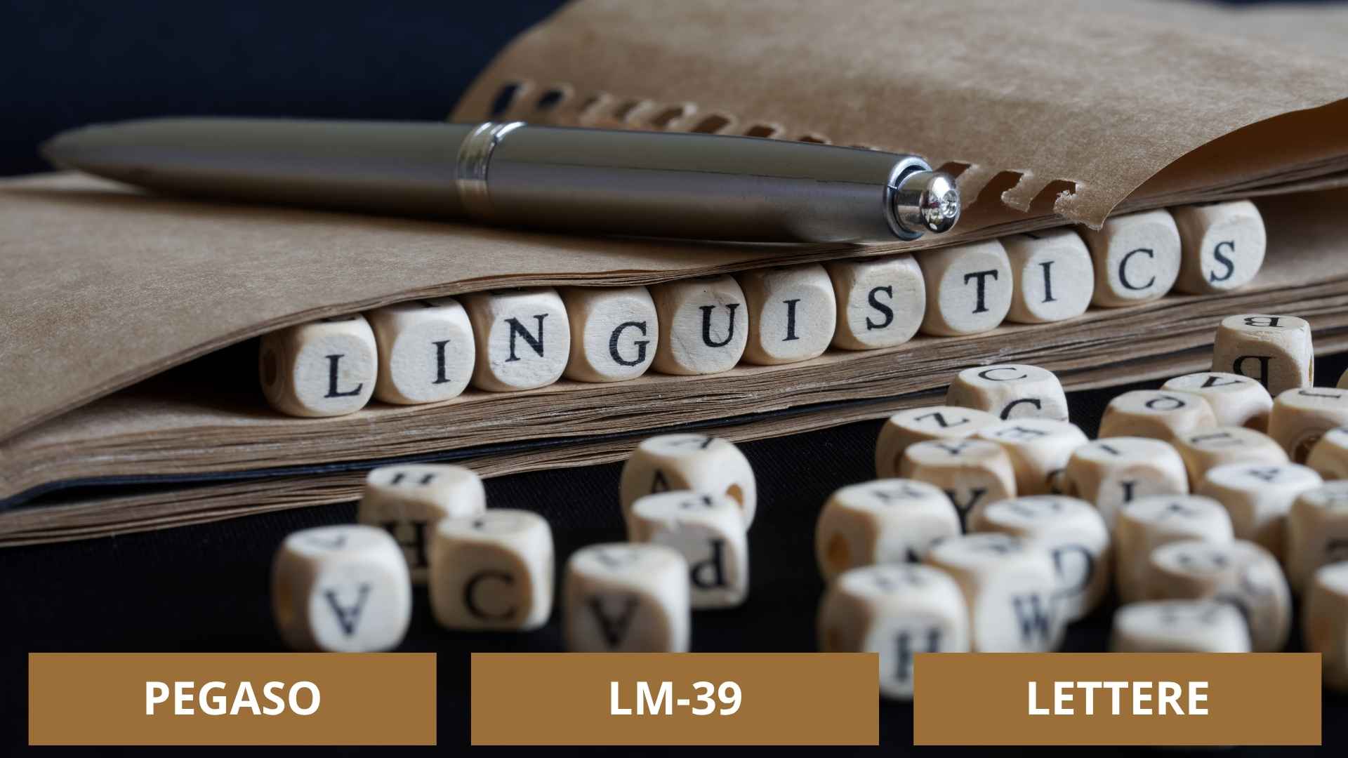 pegaso lm-39 linguistica moderna