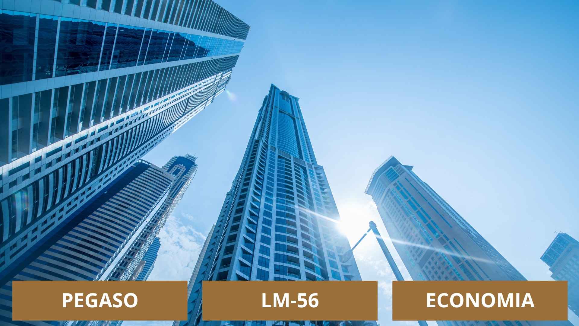 pegaso lm-56 Economia Digital Data Analysis Amministrazioni Pubbliche