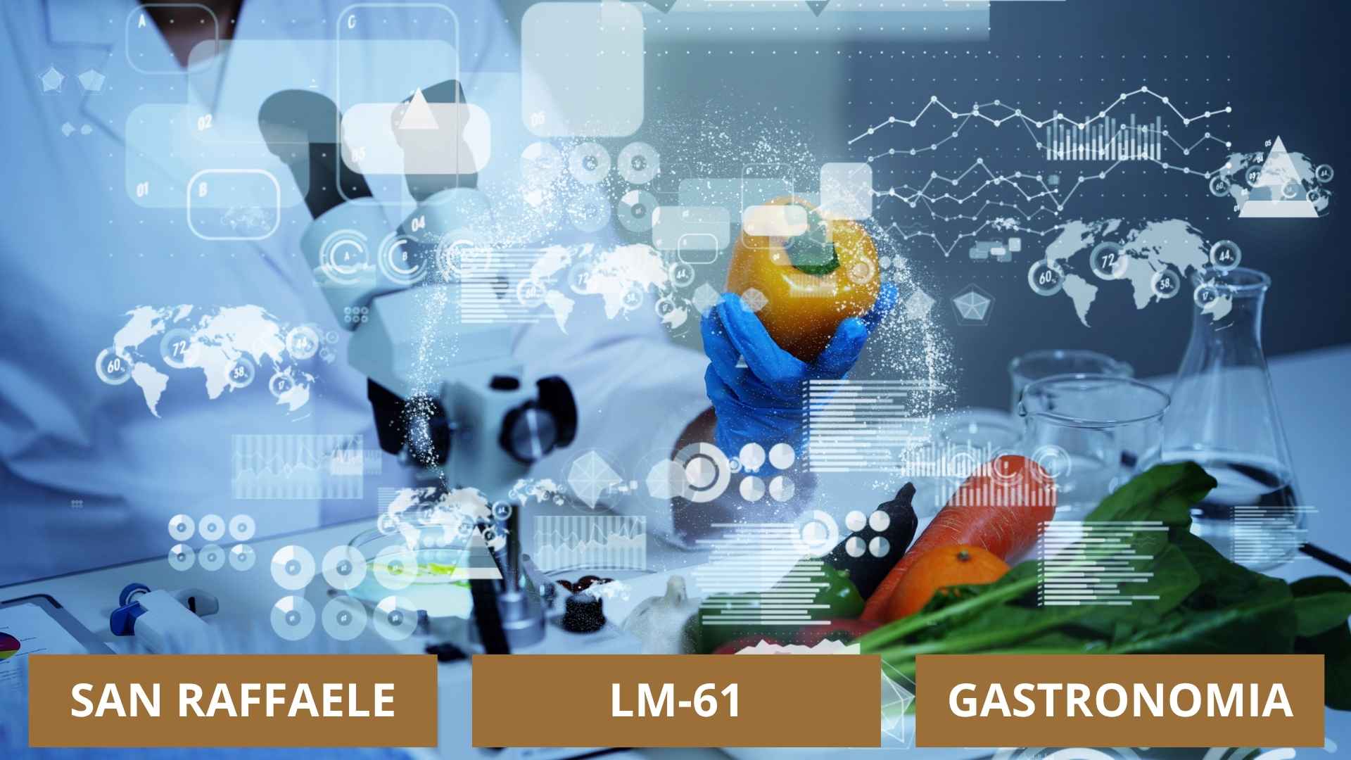 san raffaele lm-61 Scienze della Nutrizione Umana